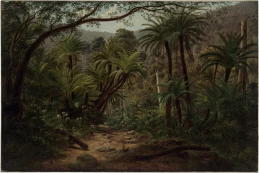 Ferntree Gully en las montañas Dandenong